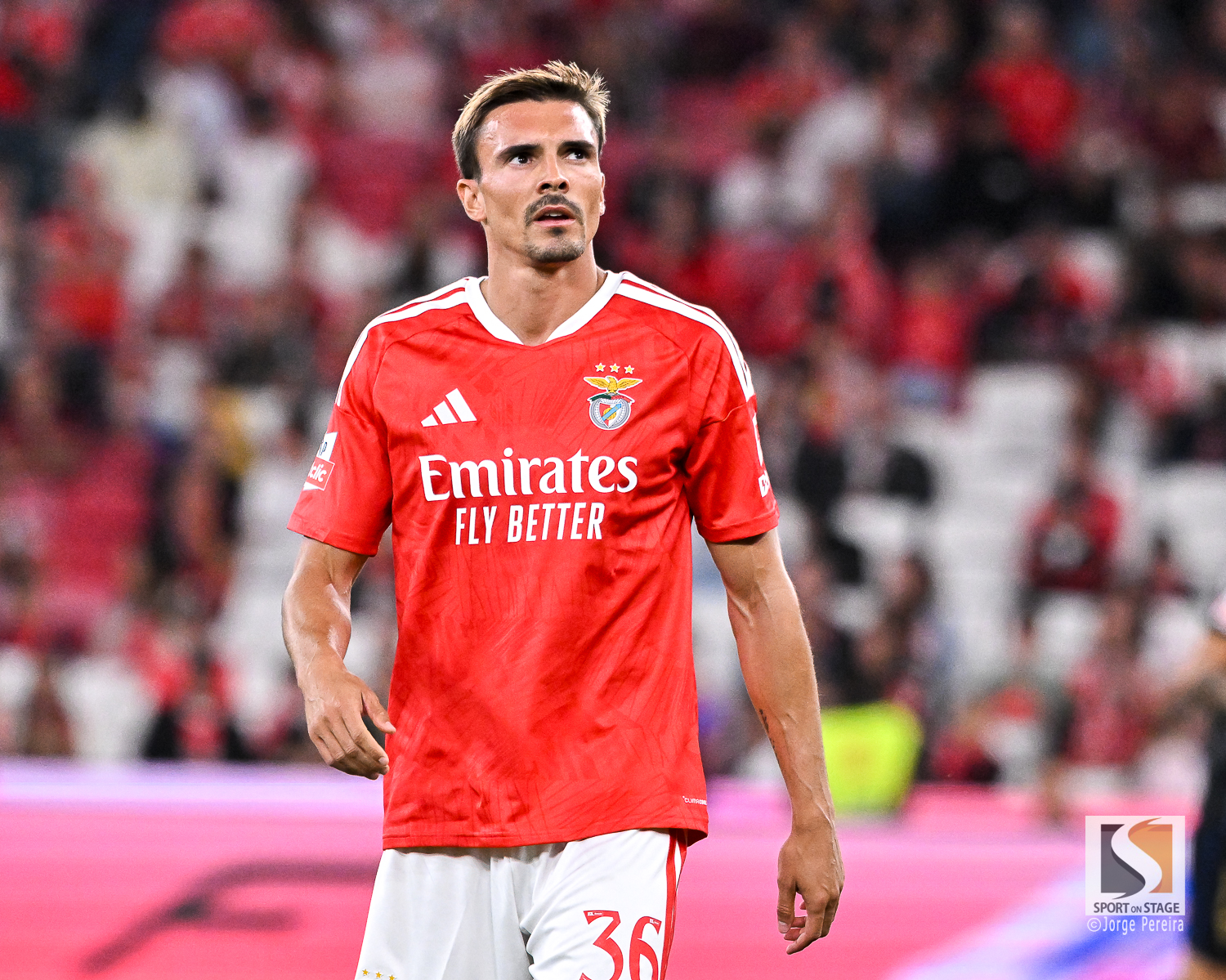 Benfica vence Estoril na estreia de Palhinha