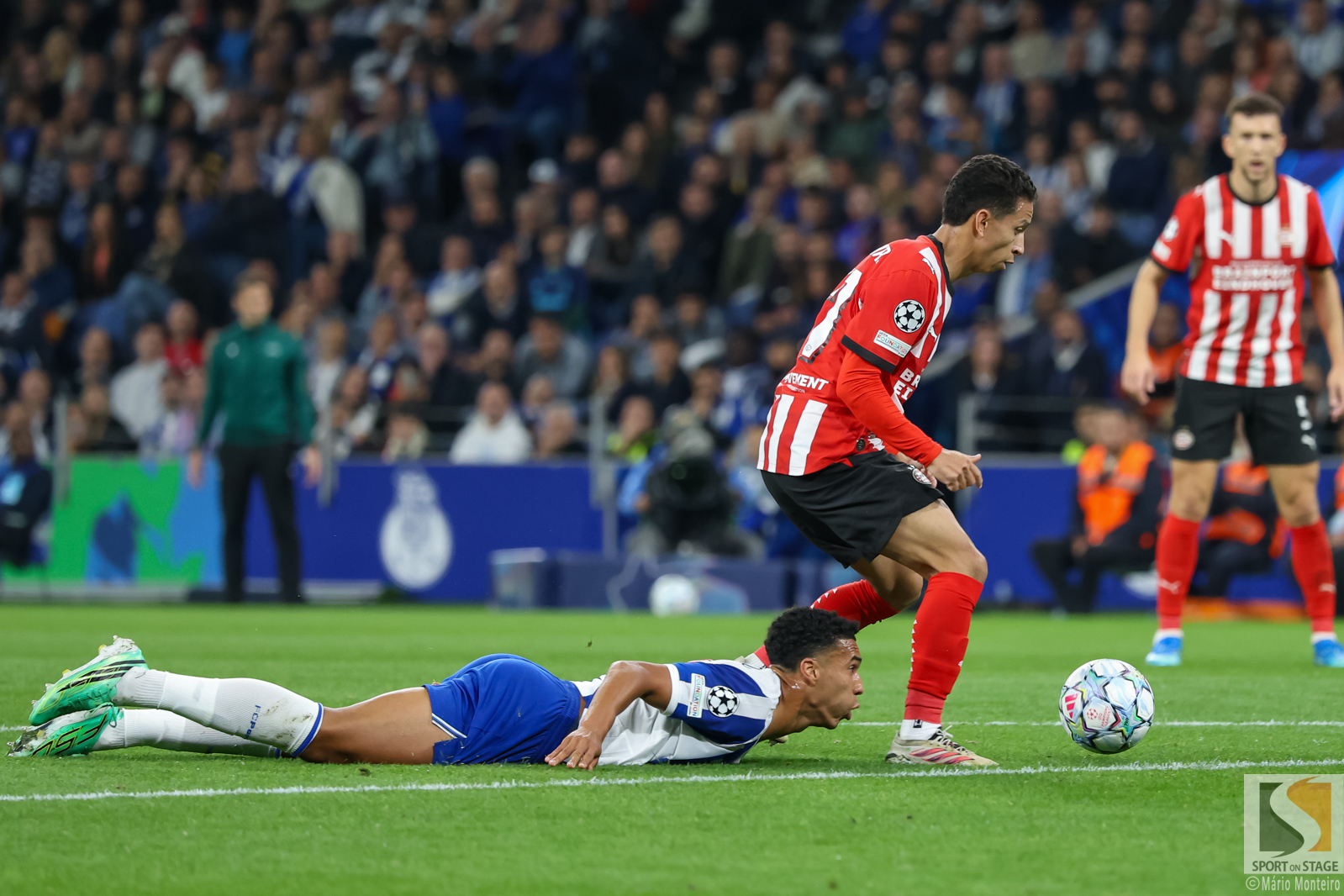 Liga dos Campeões: FC Porto 0-1 PSV Eindhoven. As fotografias: